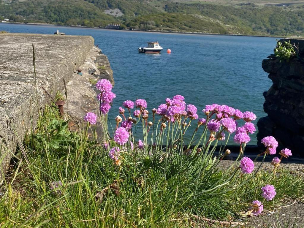 No6 Bed and Breakfast Barmouth Exteriör bild